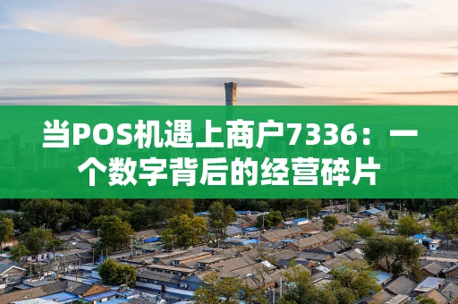 当POS机遇上商户7336：一个数字背后的经营碎片