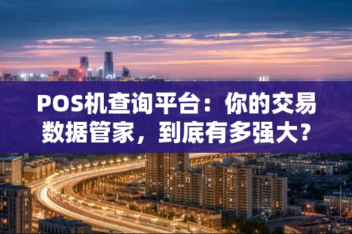 POS机查询平台：你的交易数据管家，到底有多强大？