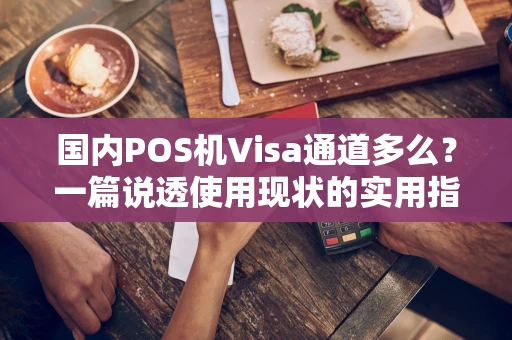国内POS机Visa通道多么？一篇说透使用现状的实用指南