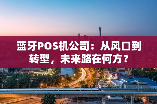 蓝牙POS机公司：从风口到转型，未来路在何方？