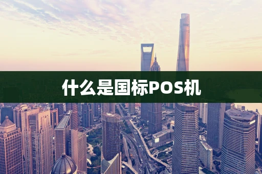 什么是国标POS机
