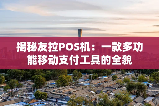 揭秘友拉POS机：一款多功能移动支付工具的全貌
