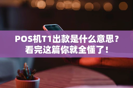 POS机T1出款是什么意思？看完这篇你就全懂了！