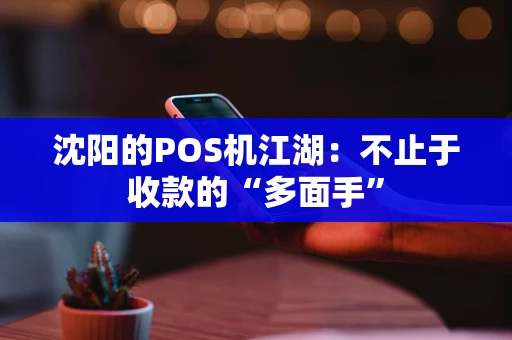 沈阳的POS机江湖：不止于收款的“多面手”