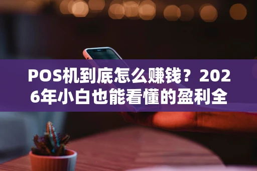POS机到底怎么赚钱？2026年小白也能看懂的盈利全解析