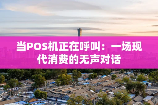 当POS机正在呼叫：一场现代消费的无声对话