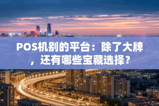 POS机别的平台：除了大牌，还有哪些宝藏选择？