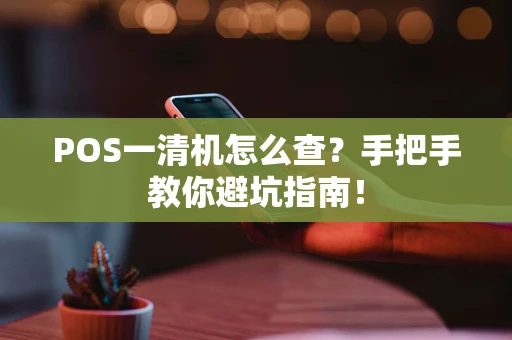 POS一清机怎么查？手把手教你避坑指南！