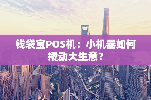 钱袋宝POS机：小机器如何撬动大生意？