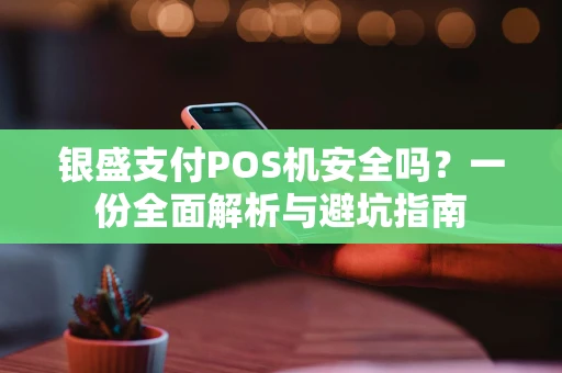 银盛支付POS机安全吗？一份全面解析与避坑指南