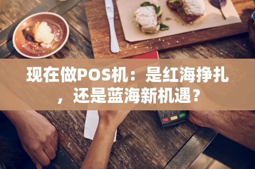 现在做POS机：是红海挣扎，还是蓝海新机遇？