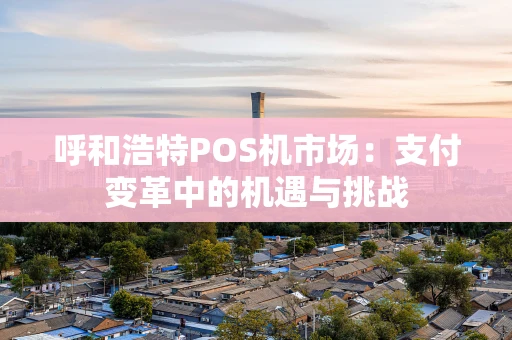 呼和浩特POS机市场：支付变革中的机遇与挑战