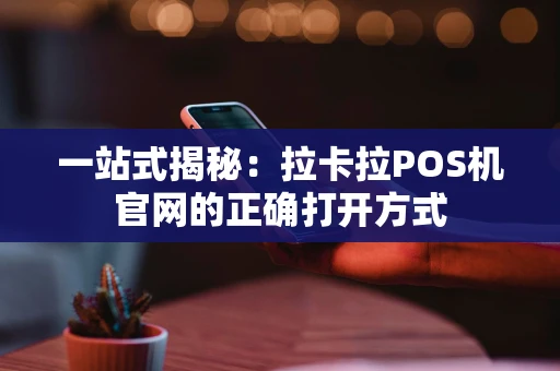 一站式揭秘：拉卡拉POS机官网的正确打开方式