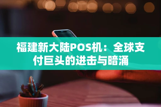 福建新大陆POS机：全球支付巨头的进击与暗涌