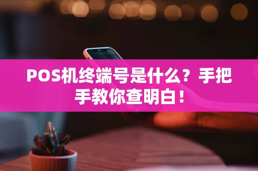 POS机终端号是什么？手把手教你查明白！