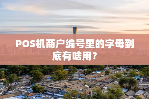 POS机商户编号里的字母到底有啥用？