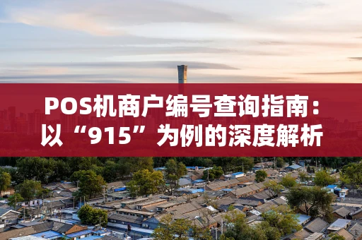 POS机商户编号查询指南：以“915”为例的深度解析