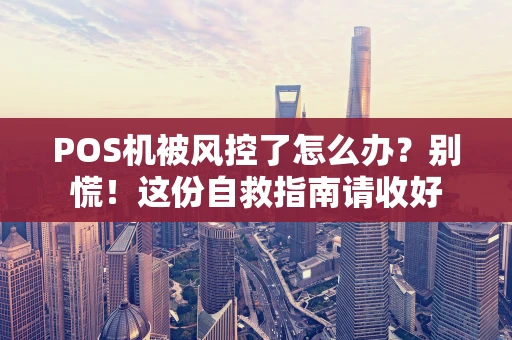 POS机被风控了怎么办？别慌！这份自救指南请收好