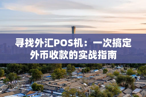 寻找外汇POS机：一次搞定外币收款的实战指南