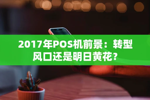 2017年POS机前景：转型风口还是明日黄花？
