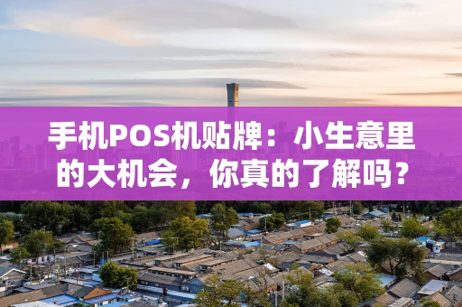 手机POS机贴牌：小生意里的大机会，你真的了解吗？