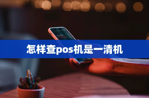 怎样查pos机是一清机