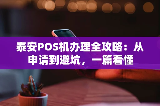 泰安POS机办理全攻略：从申请到避坑，一篇看懂