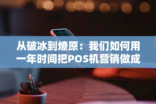 从破冰到燎原：我们如何用一年时间把POS机营销做成了行业标杆？