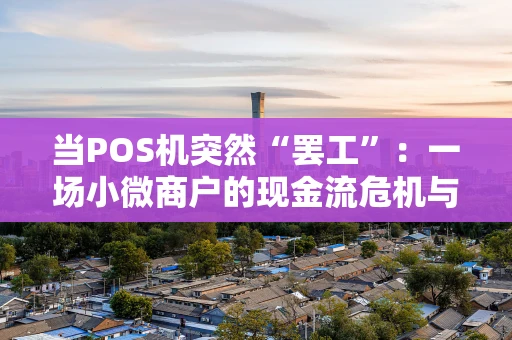 当POS机突然“罢工”：一场小微商户的现金流危机与自救指南