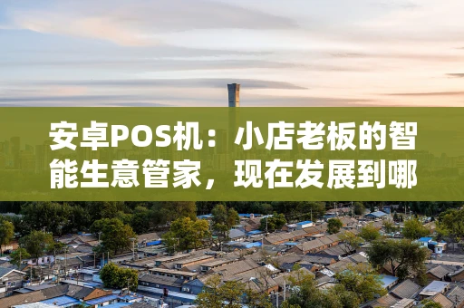 安卓POS机：小店老板的智能生意管家，现在发展到哪一步了？