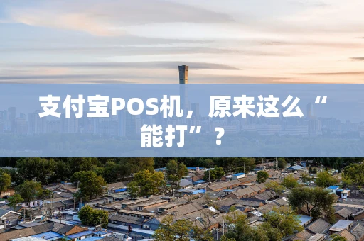 支付宝POS机，原来这么“能打”？