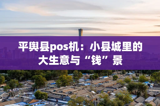 平舆县pos机：小县城里的大生意与“钱”景