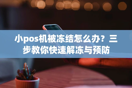 小pos机被冻结怎么办？三步教你快速解冻与预防