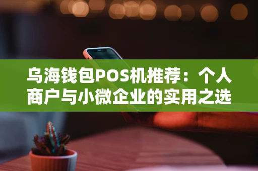 乌海钱包POS机推荐：个人商户与小微企业的实用之选