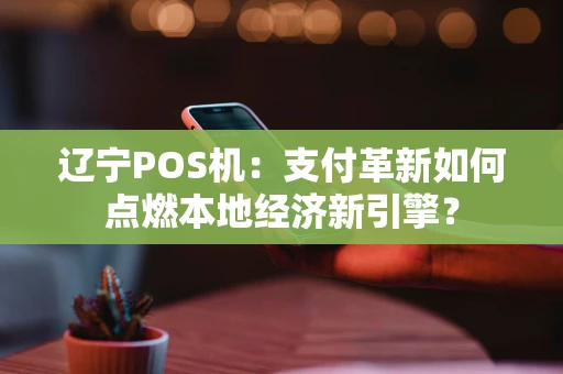 辽宁POS机：支付革新如何点燃本地经济新引擎？