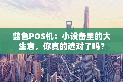蓝色POS机：小设备里的大生意，你真的选对了吗？
