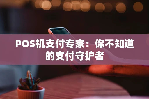 POS机支付专家：你不知道的支付守护者