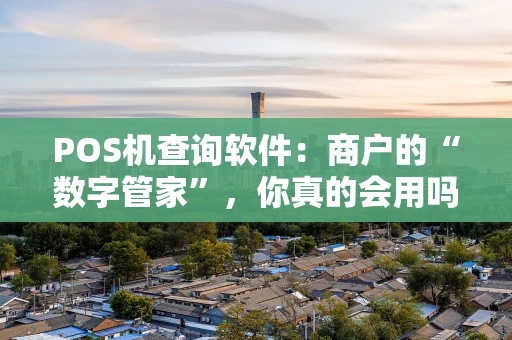POS机查询软件：商户的“数字管家”，你真的会用吗？