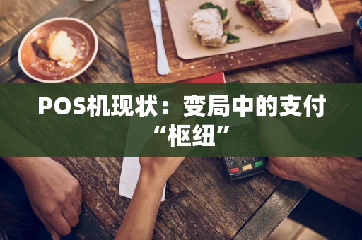 POS机现状：变局中的支付“枢纽”
