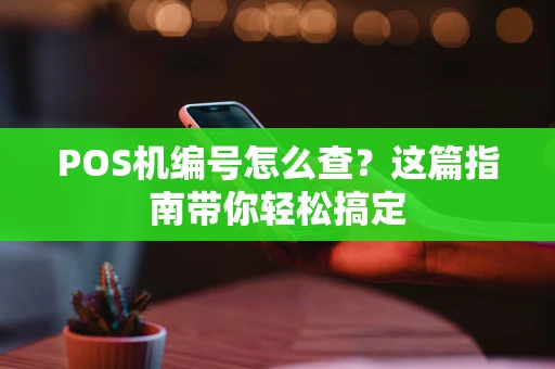POS机编号怎么查？这篇指南带你轻松搞定