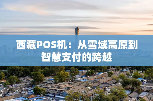 西藏POS机：从雪域高原到智慧支付的跨越