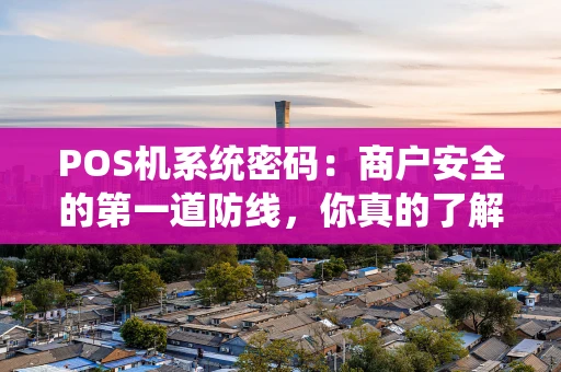 POS机系统密码：商户安全的第一道防线，你真的了解吗？