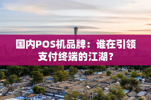 国内POS机品牌：谁在引领支付终端的江湖？