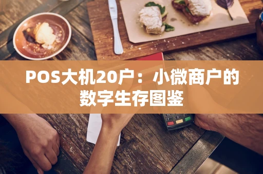 POS大机20户：小微商户的数字生存图鉴