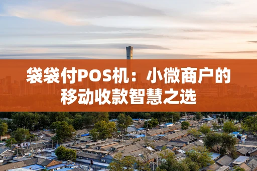 袋袋付POS机:小微商户的移动收款智慧之选 袋袋付POS机:小微商户的移动收款智慧之选