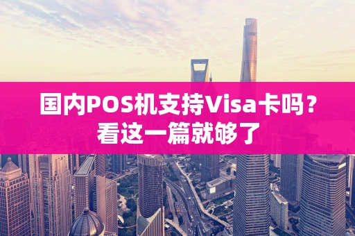 国内POS机支持Visa卡吗？看这一篇就够了