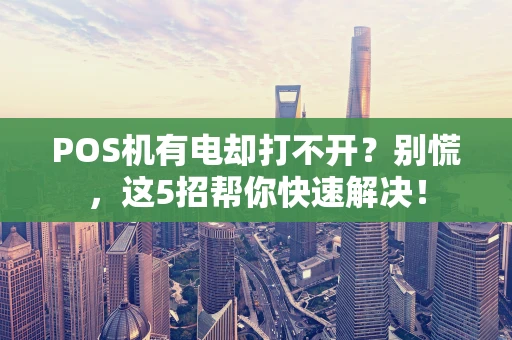 POS机有电却打不开？别慌，这5招帮你快速解决！
