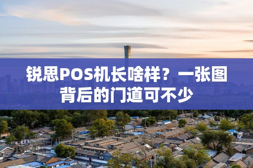 锐思POS机长啥样？一张图背后的门道可不少