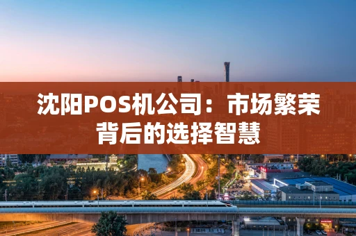 沈阳POS机公司：市场繁荣背后的选择智慧