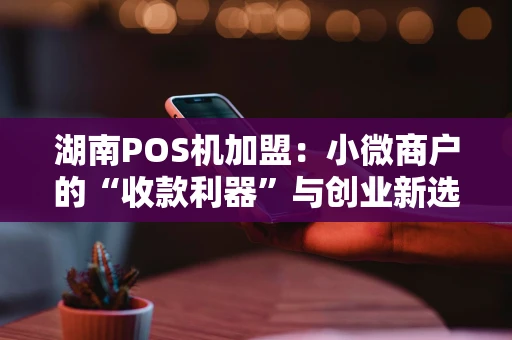 湖南POS机加盟：小微商户的“收款利器”与创业新选择